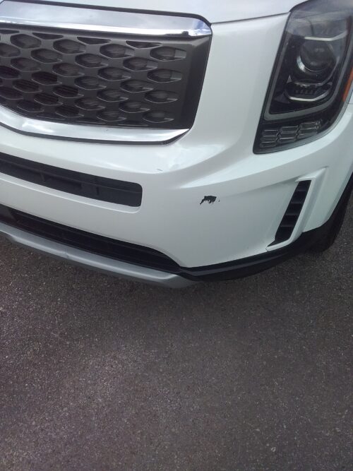 2020 Kia Telluride - Image 32