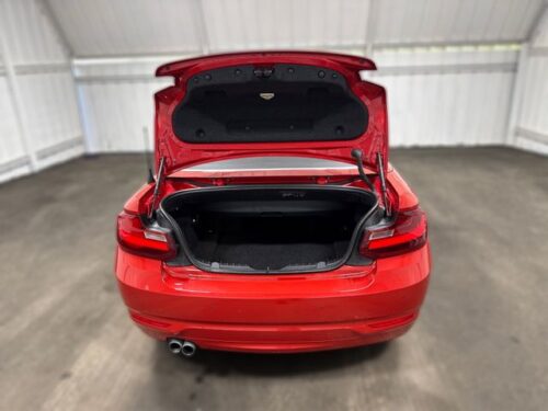 2015 BMW 228i - Image 18