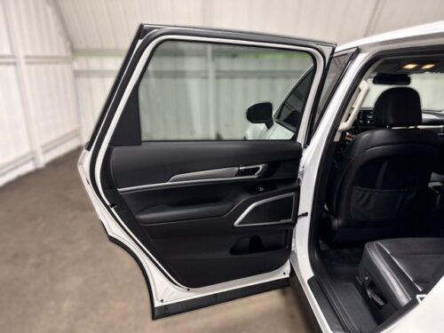 2020 KIA Telluride - Image 8