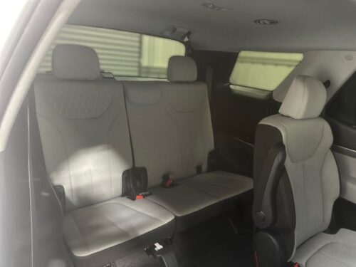 2021 HYUNDAI Palisade - Image 3